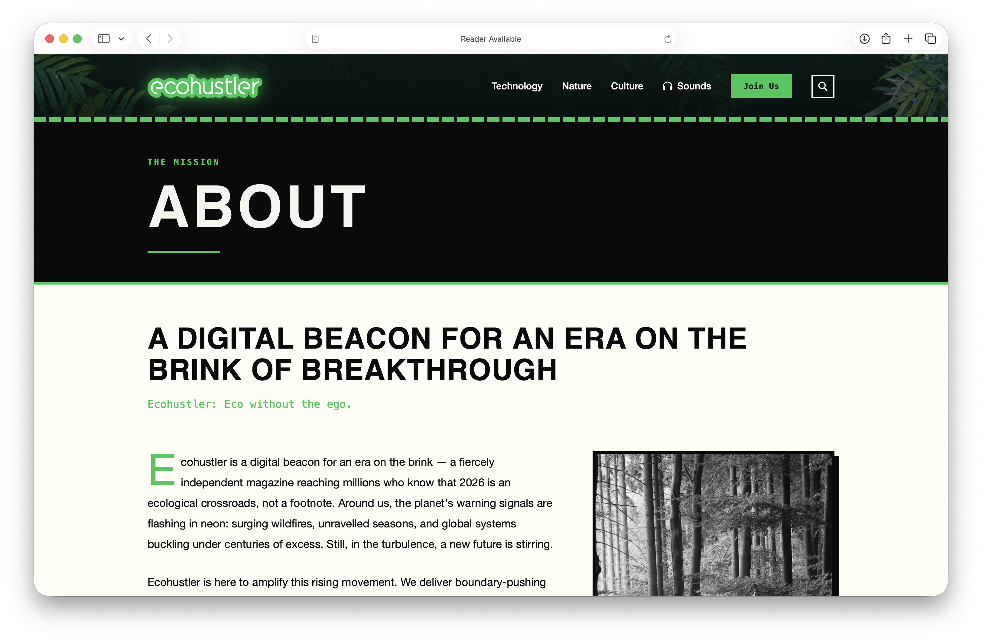 Ecohustler screenshot 4